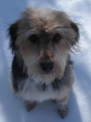 Gumbo was his name. Oh.